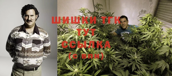 мдпв Бронницы