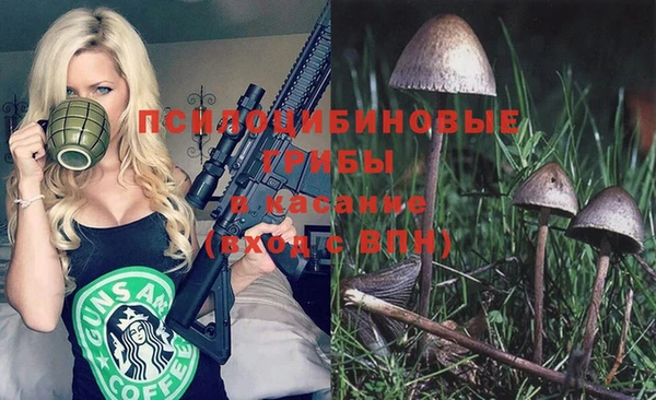 гидропоника Богданович