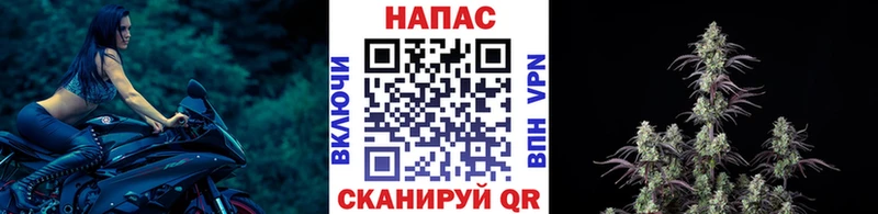 Бошки Шишки Ganja  где продают   darknet состав  Ветлуга  MEGA сайт 